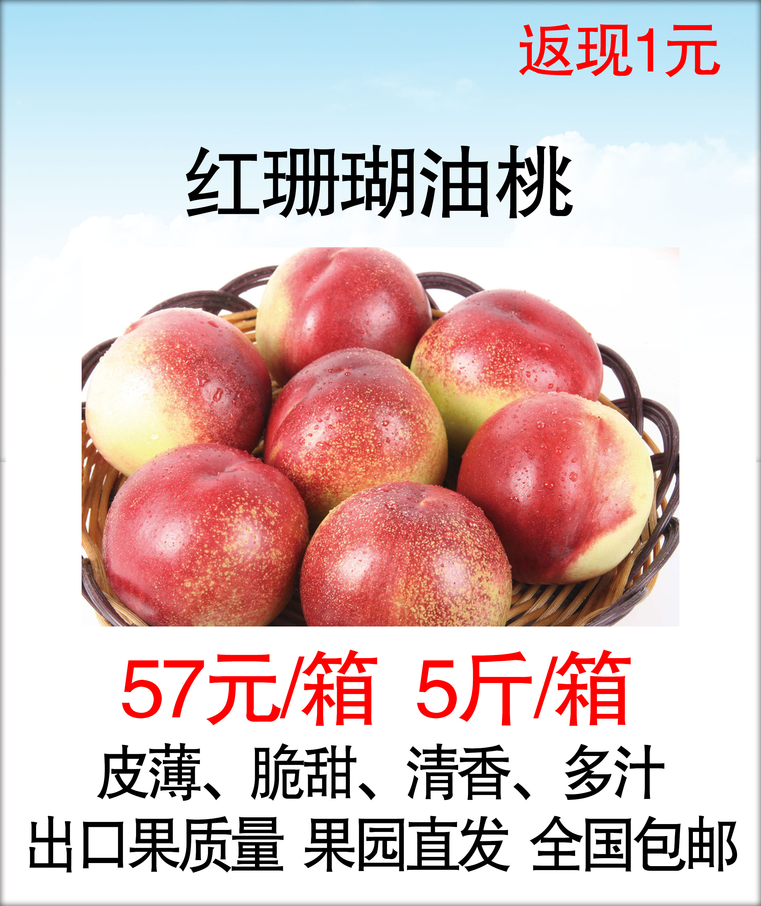 山东红珊瑚油桃自然 新鲜水果农家肥无任何添加剂 果园直发 5斤/箱